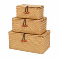 Lot de 3 boîtes tissées à la main en jonc de mer avec couvercle pour rangement
